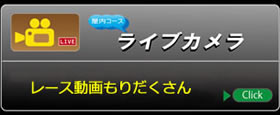 ライブカメラ